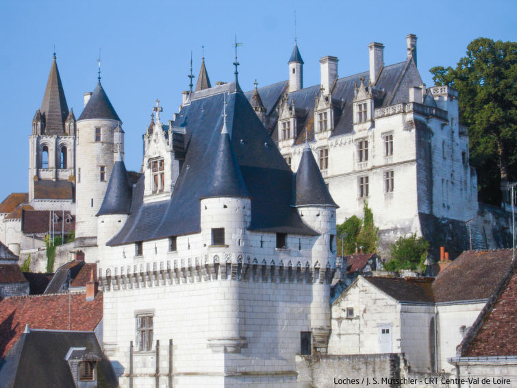 Foto van omgeving van Vakantiehuis Chissay-en-Touraine