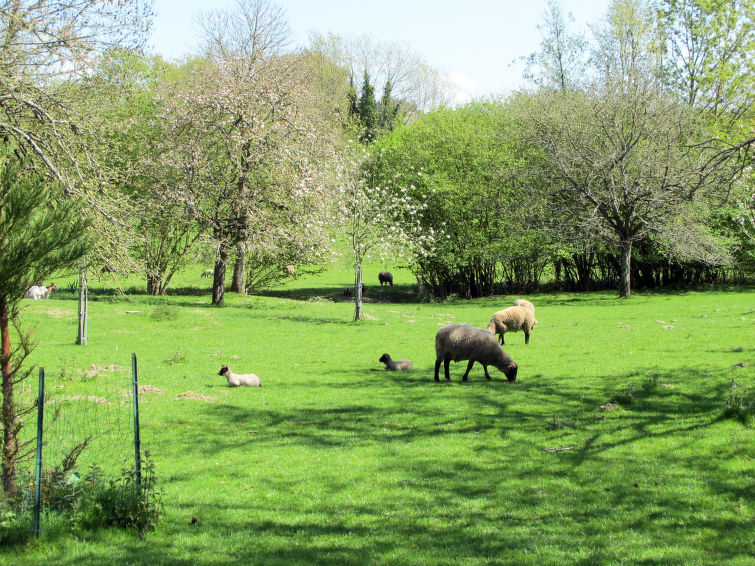 Foto van exterieur van Vakantiehuis Hudimesnil