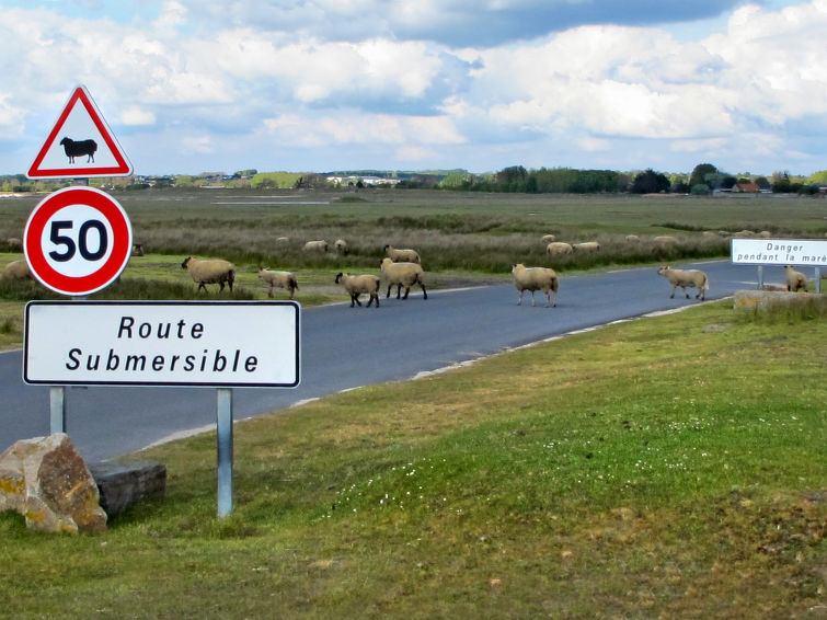 Foto van omgeving van Vakantiehuis Hudimesnil