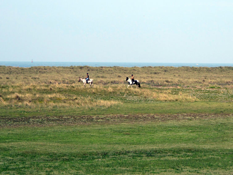 Foto van omgeving van Vakantiehuis Agon-Coutainville