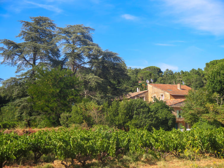 Gezellig Vakantiehuis Le Mas in de Provence | Out! Vakantiehuizen