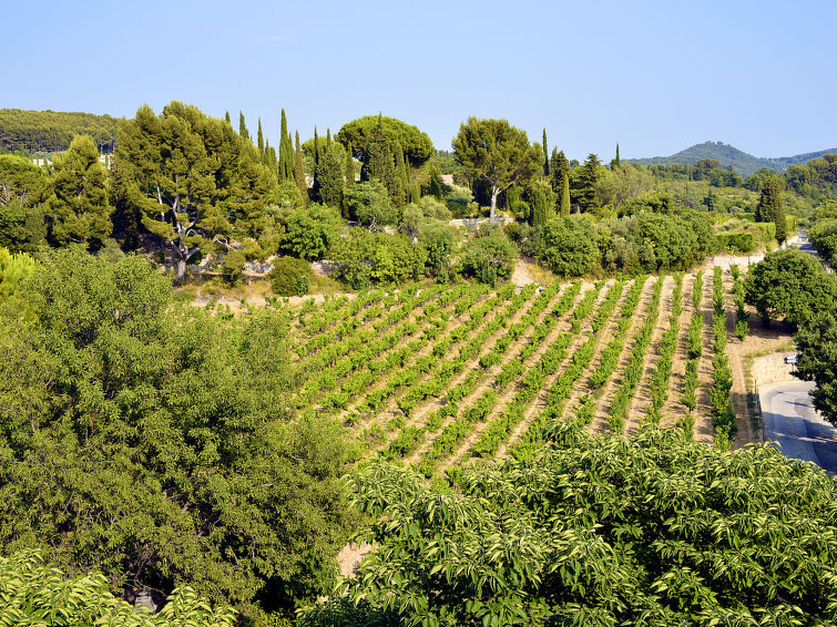 Foto van omgeving van Appartement Le Castellet