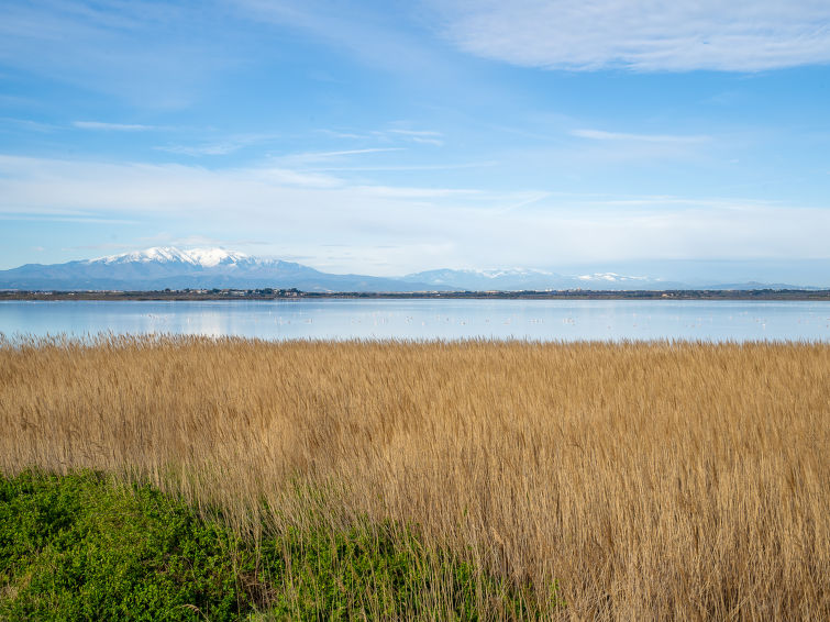 Foto van omgeving van Appartement Canet-Plage