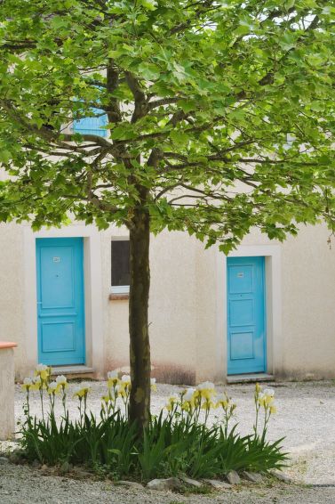 Ontdek het Rustige Vakantiehuis Domaine des Cazelles in Cajarc | Out! Vakantiehuizen