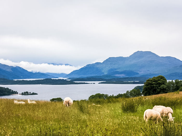 Foto van wonen van Vakantiehuis Balloch