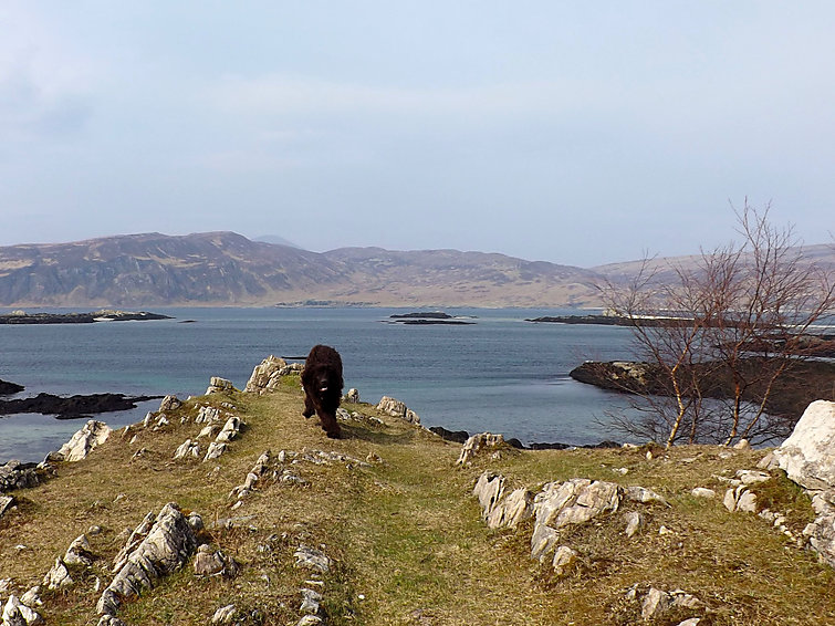 Foto van exterieur van Vakantiehuis South Skye