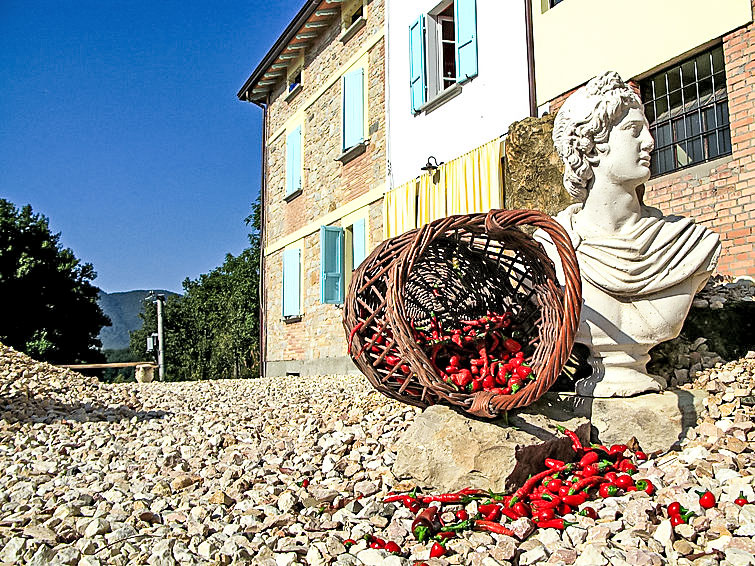 Foto van exterieur van Vakantiehuis Salsomaggiore Terme