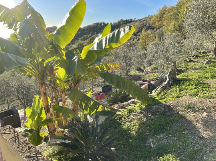 Foto van exterieur van Vakantiehuis Valloria