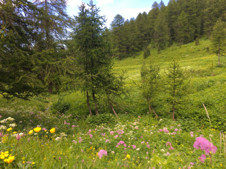 Foto van omgeving van Vakantiehuis Sampeyre