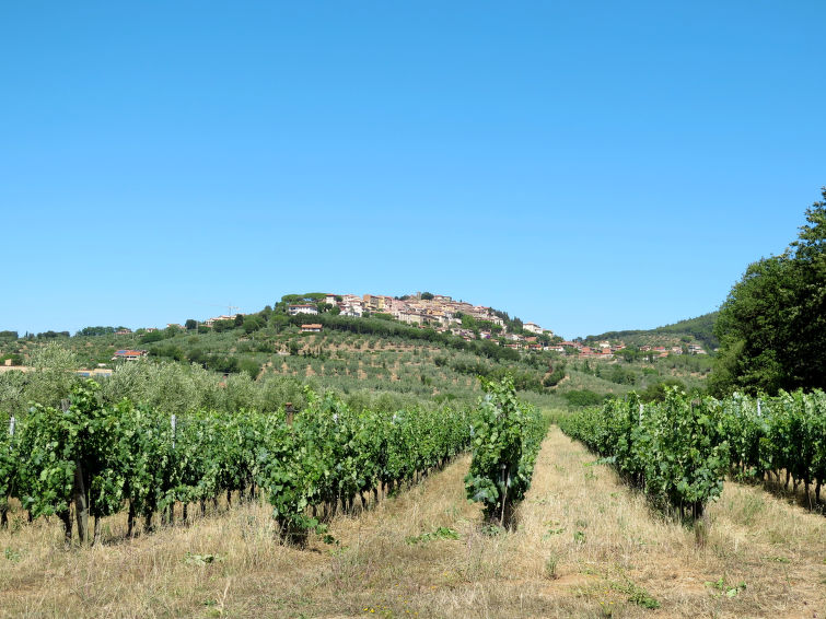 Foto van omgeving van Vakantiehuis Castagneto Carducci