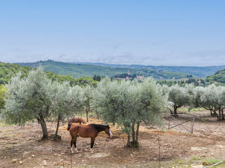 Foto van wonen van Vakantiehuis Badia a Passignano