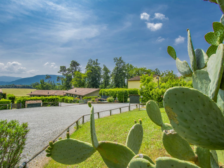 Ontsnap naar de Rustieke Vakantiehuis I Pini in Lucca | Out! Vakantiehuizen