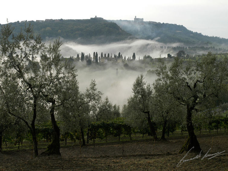 Foto van omgeving van Vakantiehuis Volterra