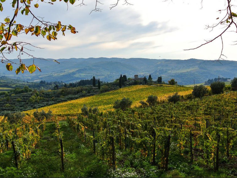 Foto van omgeving van Vakantiehuis Greve in Chianti