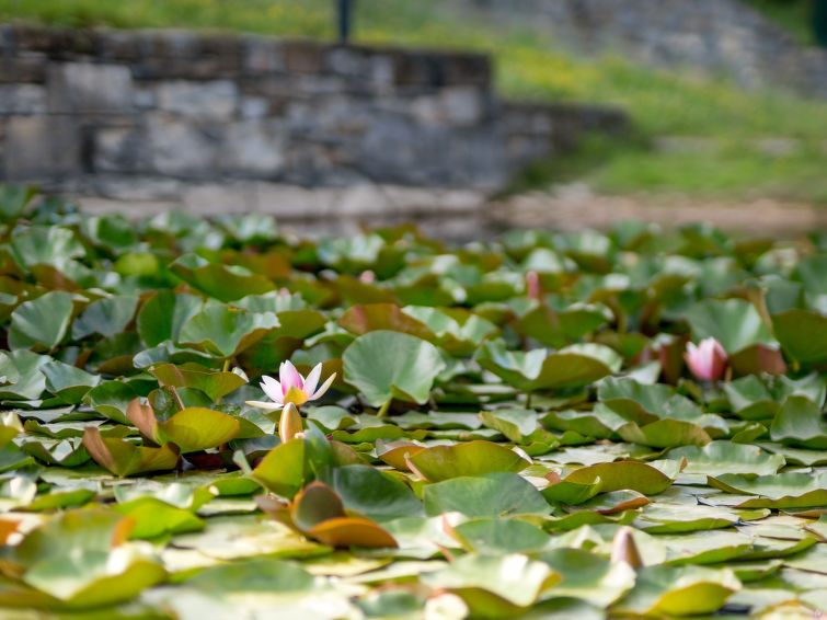Foto van wonen van Vakantiehuis Buzet Foto van wonen van Vakantiehuis Buzet