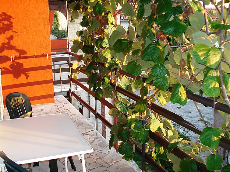 Foto van wonen van Appartement Pula/Krnica