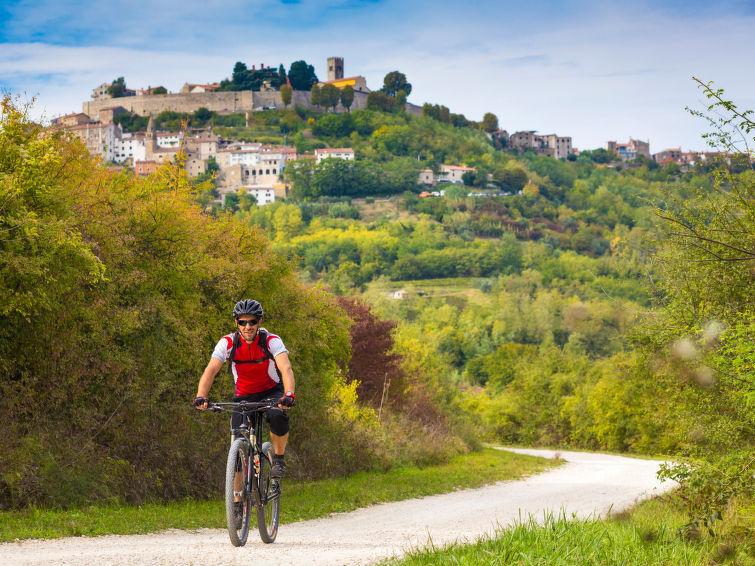 Foto van omgeving van Vakantiehuis Motovun Foto van omgeving van Vakantiehuis Motovun