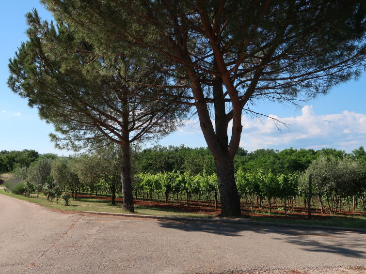 Foto van exterieur van Appartement Labin Foto van exterieur van Appartement Labin