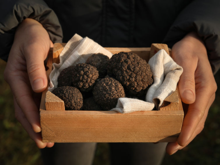 Foto van omgeving van Vakantiehuis Motovun
