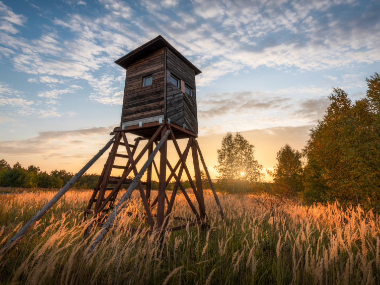 Foto van omgeving van Vakantiehuis Motovun