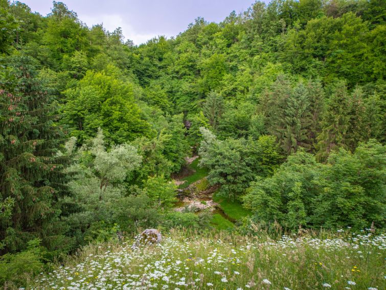 Foto van exterieur van Vakantiehuis Ogulin