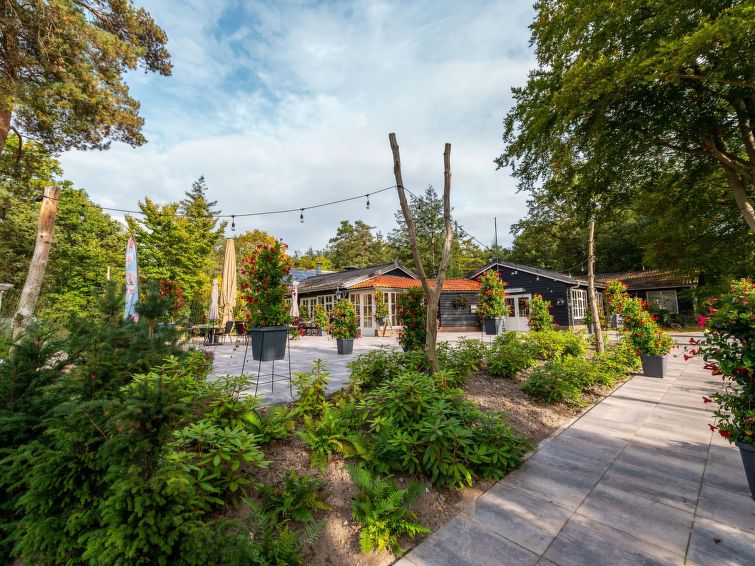 Foto van omgeving van Vakantiehuis Ruinen
