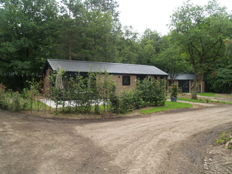 Foto van exterieur van Vakantiehuis Ruinenin de winter