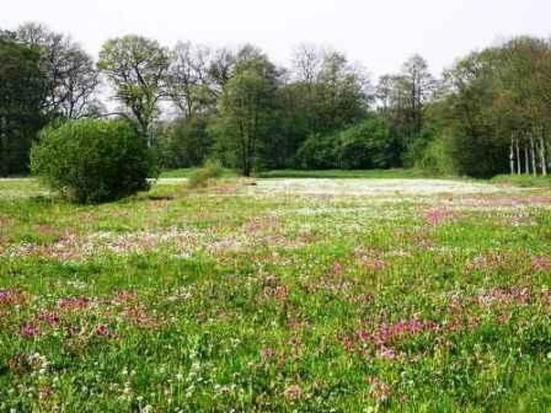 Exterieur NL-DR-0126