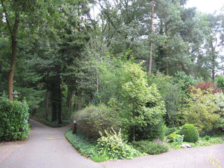 Foto van exterieur van Vakantiehuis Lochem