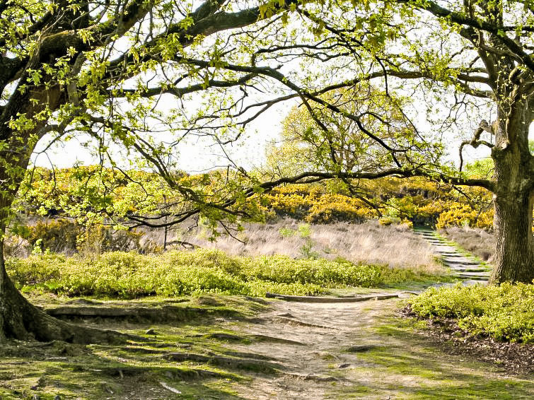 Foto van exterieur van Vakantiehuis Lochem