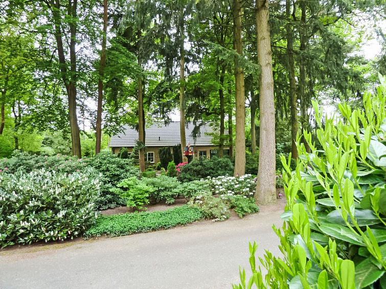 Vakantiehuis 4L in het Bosrijke Lochem | Out! Vakantiehuizen