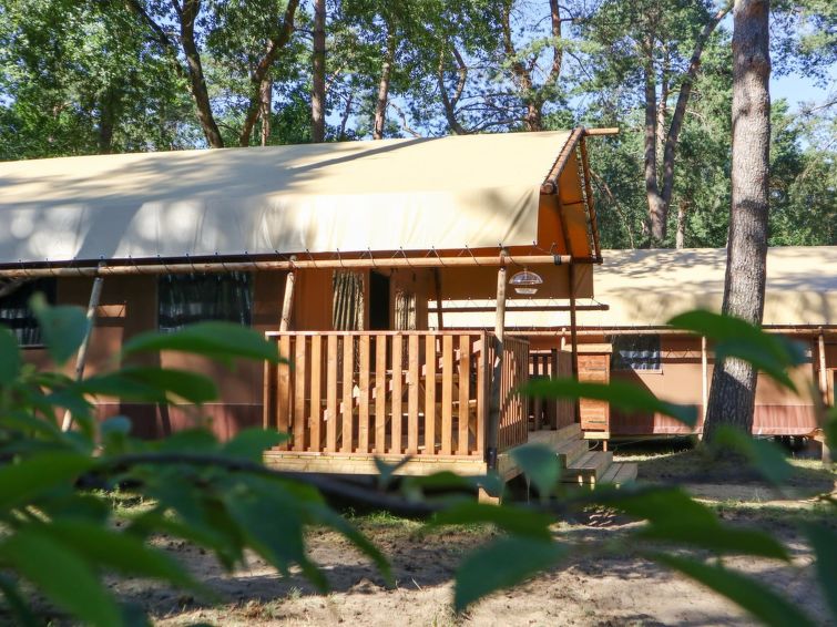Ontdek de Comfortabele Lodgetent 2 in Otterlo | Out! Vakantiehuizen