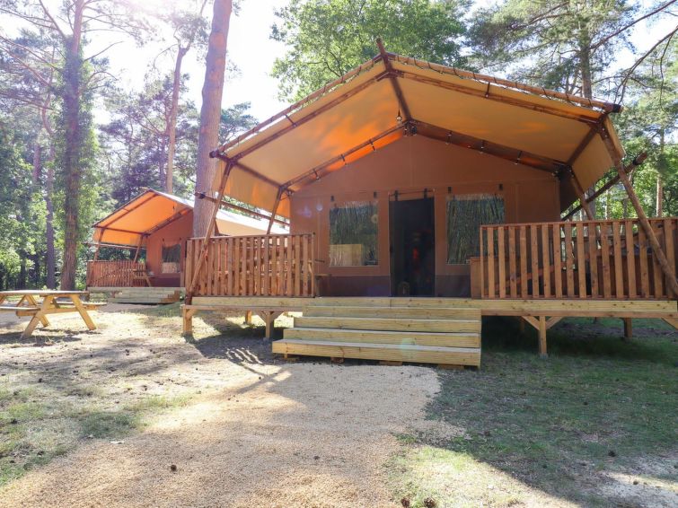 Ontdek de Comfortabele Lodgetent 2 in Otterlo | Out! Vakantiehuizen