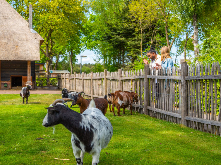 Foto van exterieur van Vakantiehuis Otterlo
