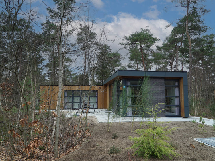 Foto van exterieur van Vakantiehuis Beekbergenin de winter