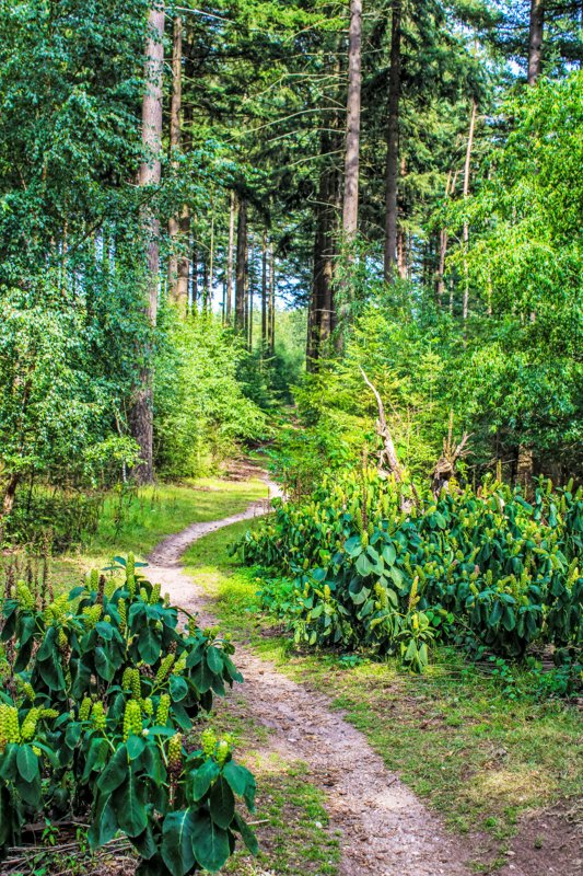 Exterieur NL-GL-0375