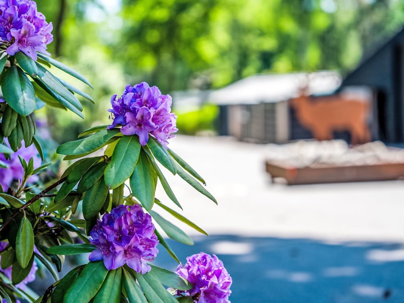 Exterieur NL-GL-0375