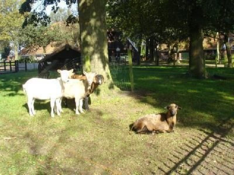 Exterieur NL-GR-0035