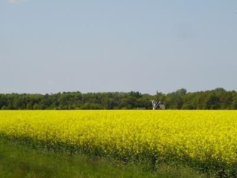 Exterieur NL-GR-0035