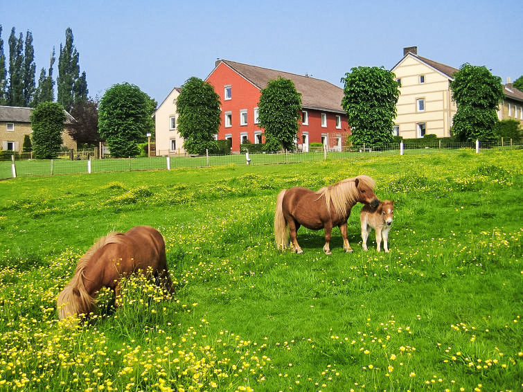 Foto van exterieur van Vakantiehuis Gulpen