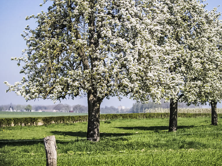 Foto van exterieur van Vakantiehuis Gulpen