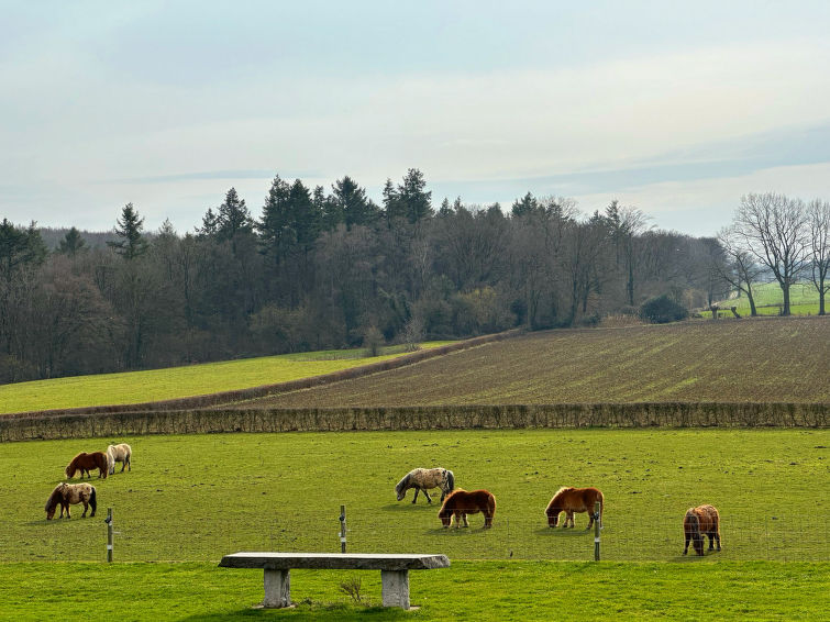 Foto van exterieur van Vakantiehuis Gulpen