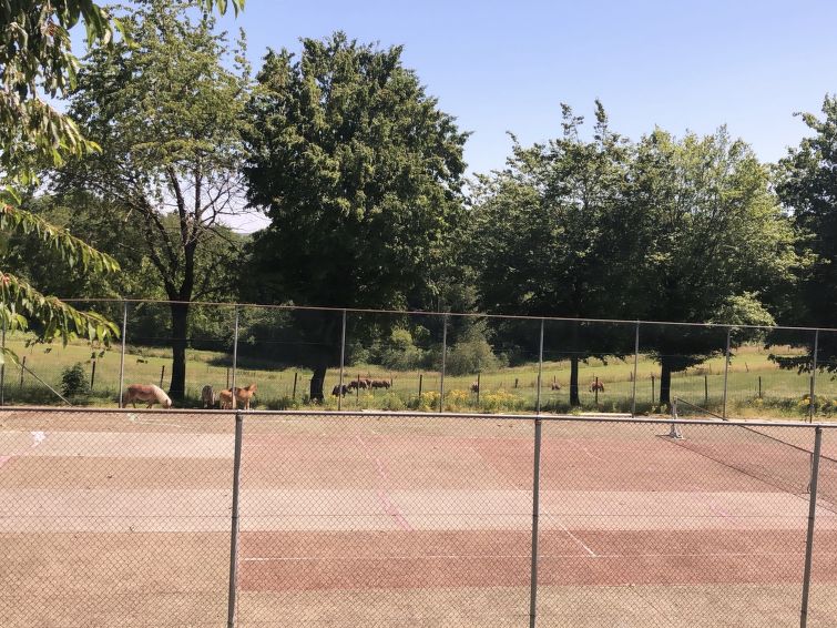Ruime Vrijstaande Bungalow voor 10 Personen in Limburg | Out! Vakantiehuizen