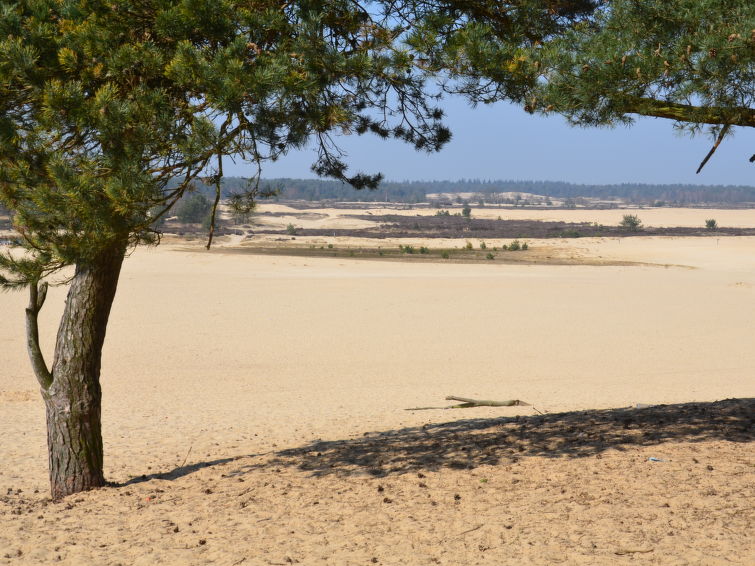 Foto van exterieur van Vakantiehuis Udenhout