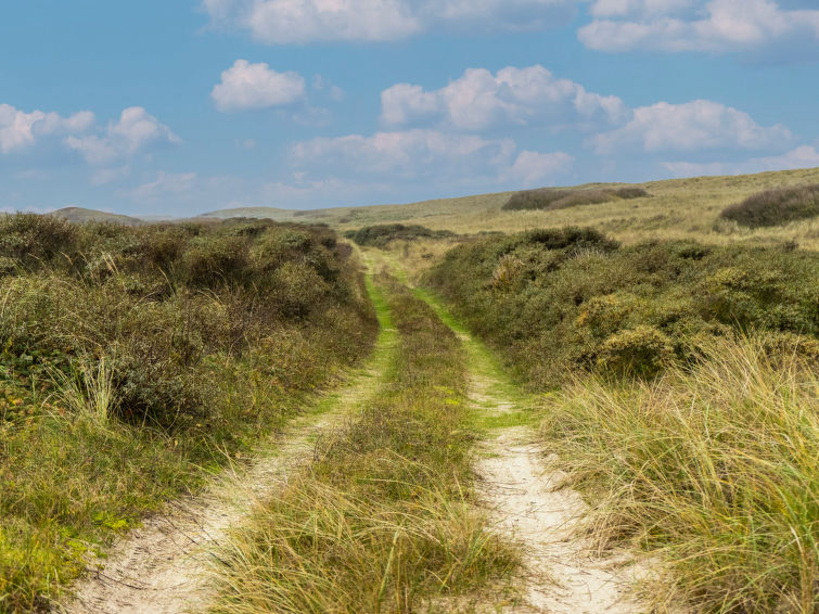 Foto van exterieur van Vakantiehuis De Cocksdorp