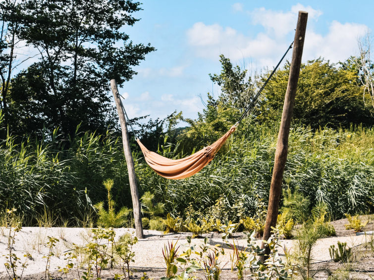 Foto van exterieur van Vakantiehuis Vogelenzang