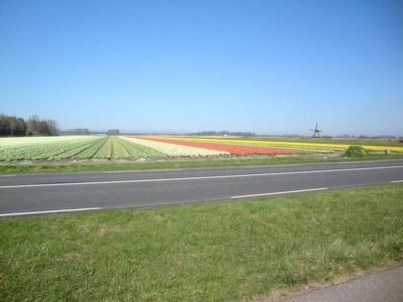 Exterieur NL-NH-0238