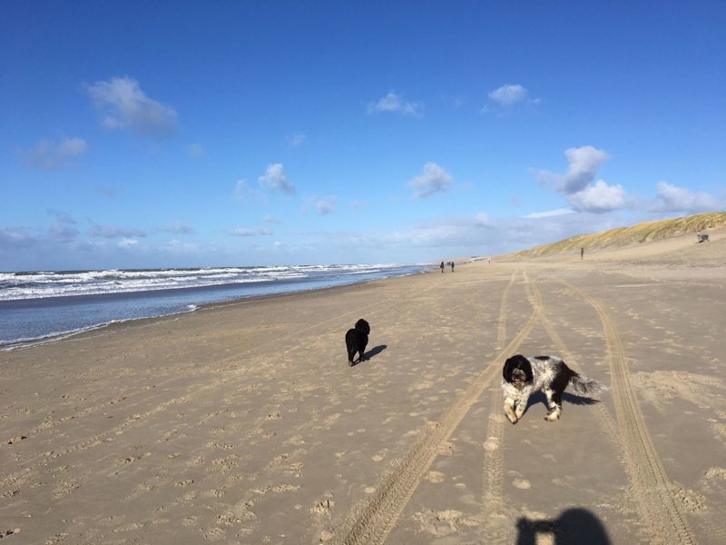 Exterieur NL-NH-0242