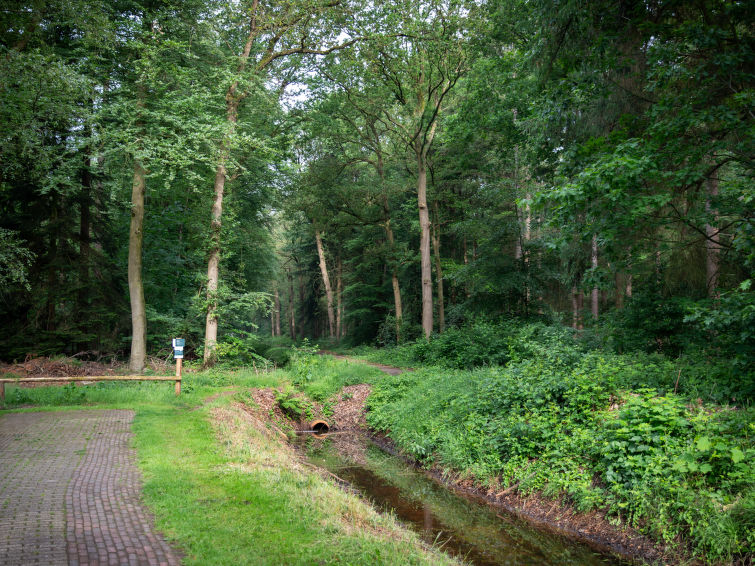 Foto van exterieur van Vakantiehuis Dalfsen