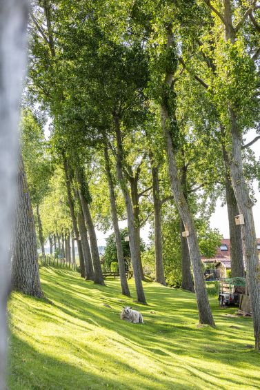 Foto van exterieur van Vakantiehuis Zuid-Beijerland